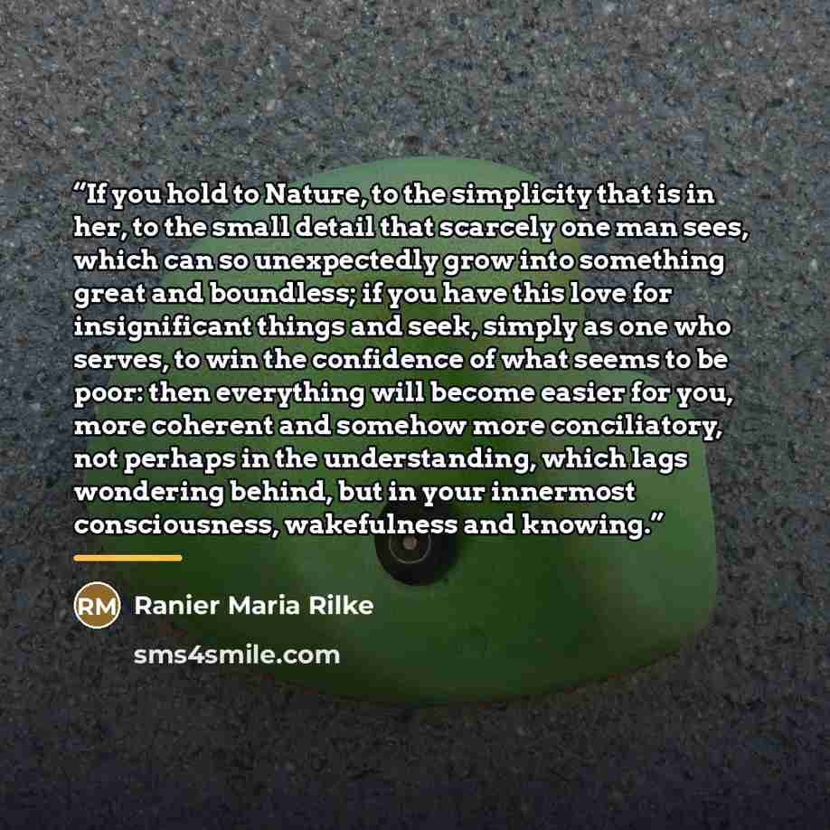“If you hold to Nature, to the simplicity that is in her, to the small detail that scarcely one man sees, which can so unexpectedly grow into something great and boundless; if you have this love for insignificant things and seek, simply as one who serves, to win the confidence of what seems to be…” quote by Ranier Maria Rilke