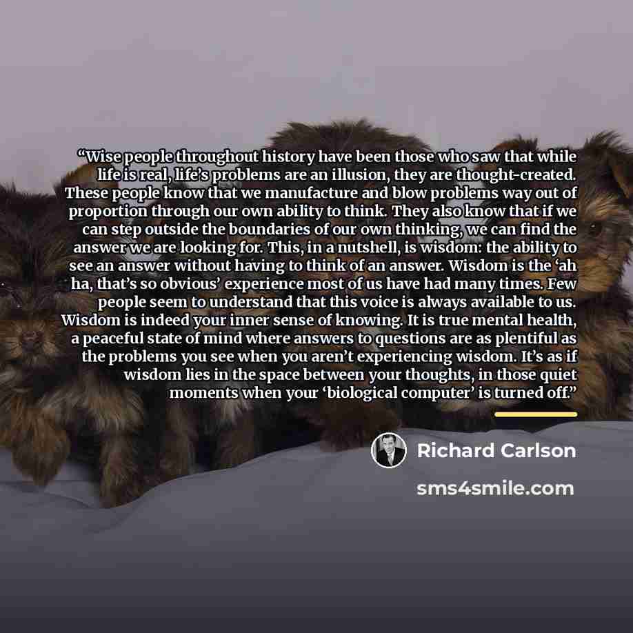 “Wise people throughout history have been those who saw that while life is real, life’s problems are an illusion, they are thought-created. These people know that we manufacture and blow problems way out of proportion through our own ability to think. They also know that if we can step outside the…” quote by Richard Carlson