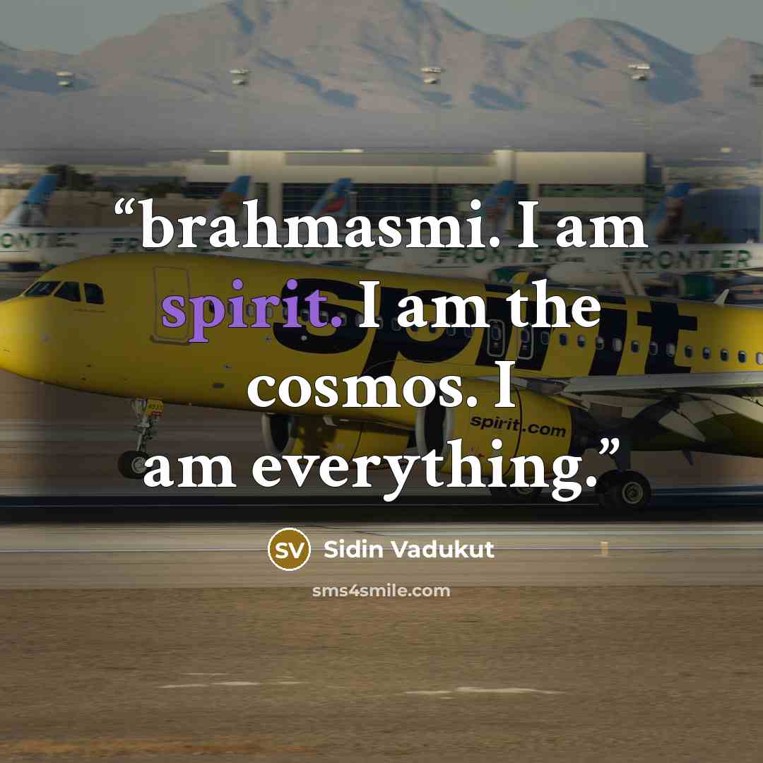 “brahmasmi. I am spirit. I am the cosmos. I am everything.” quote by Sidin Vadukut