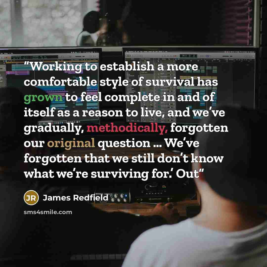 “Working to establish a more comfortable style of survival has grown to feel complete in and of itself as a reason to live, and we’ve gradually, methodically, forgotten our original question … We’ve forgotten that we still don’t know what we’re surviving for.’ Out” quote by James Redfield