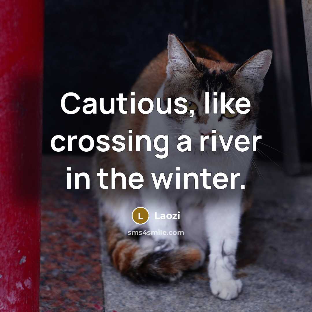 “Cautious, like crossing a river in the winter.” quote by Laozi