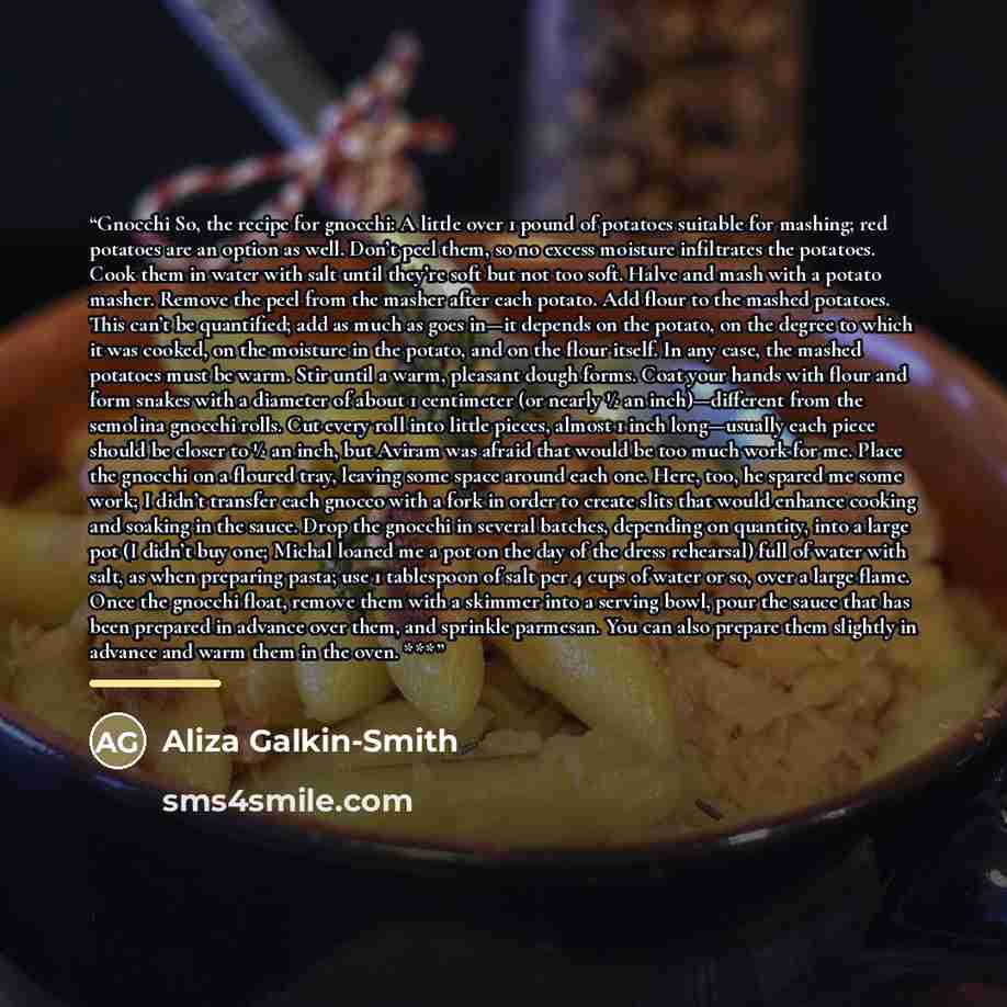 “Gnocchi So, the recipe for gnocchi: A little over 1 pound of potatoes suitable for mashing; red potatoes are an option as well. Don’t peel them, so no excess moisture infiltrates the potatoes. Cook them in water with salt until they’re soft but not too soft. Halve and mash with a potato masher…” quote by Aliza Galkin-Smith