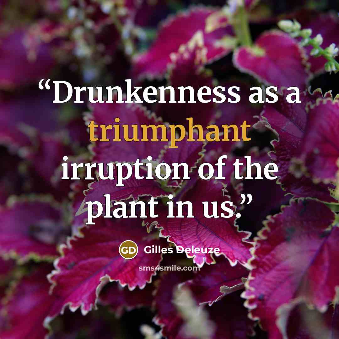 “Drunkenness as a triumphant irruption of the plant in us.” quote by Gilles Deleuze