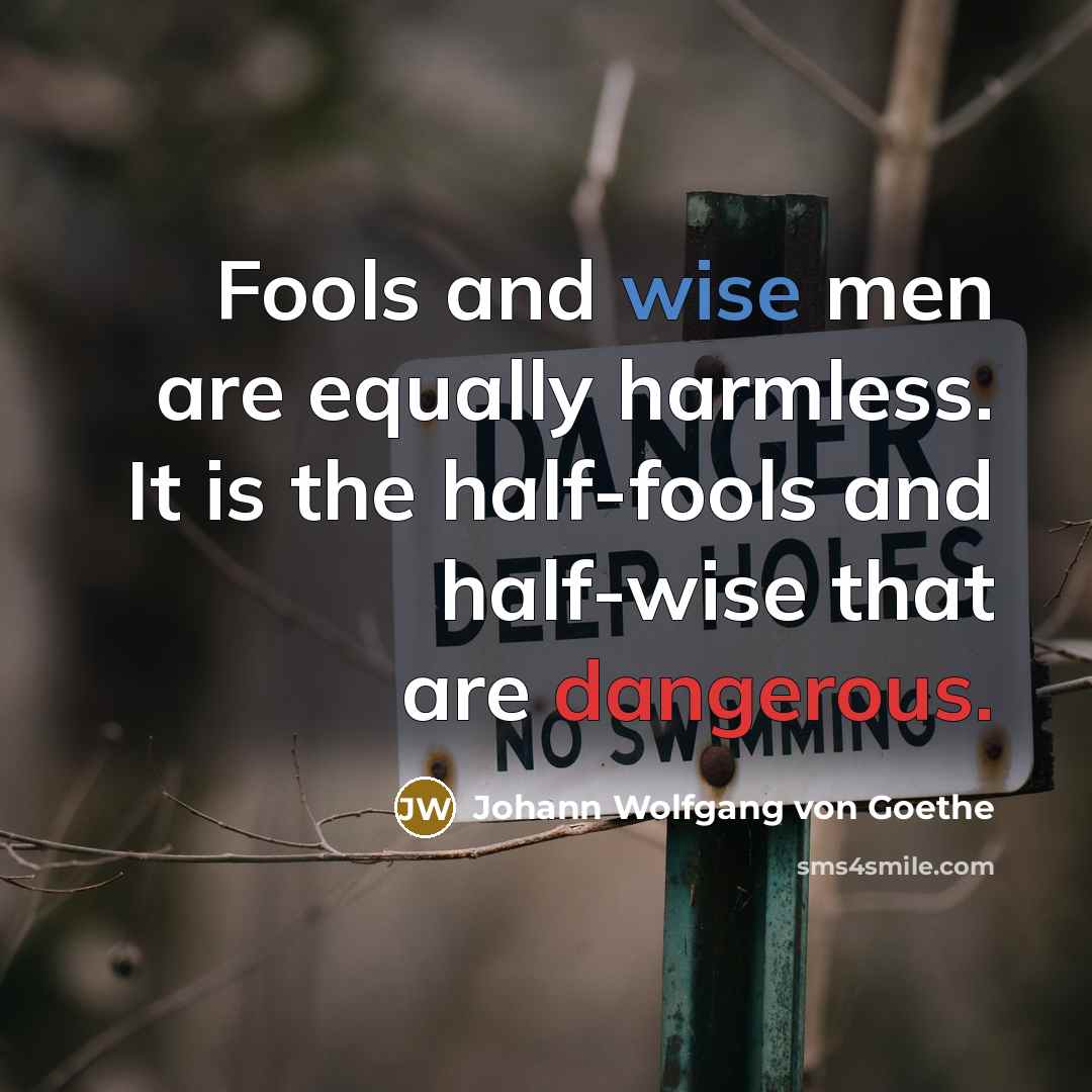 “Fools and wise men are equally harmless. It is the half-fools and half-wise that are dangerous.” quote by Johann Wolfgang von Goethe