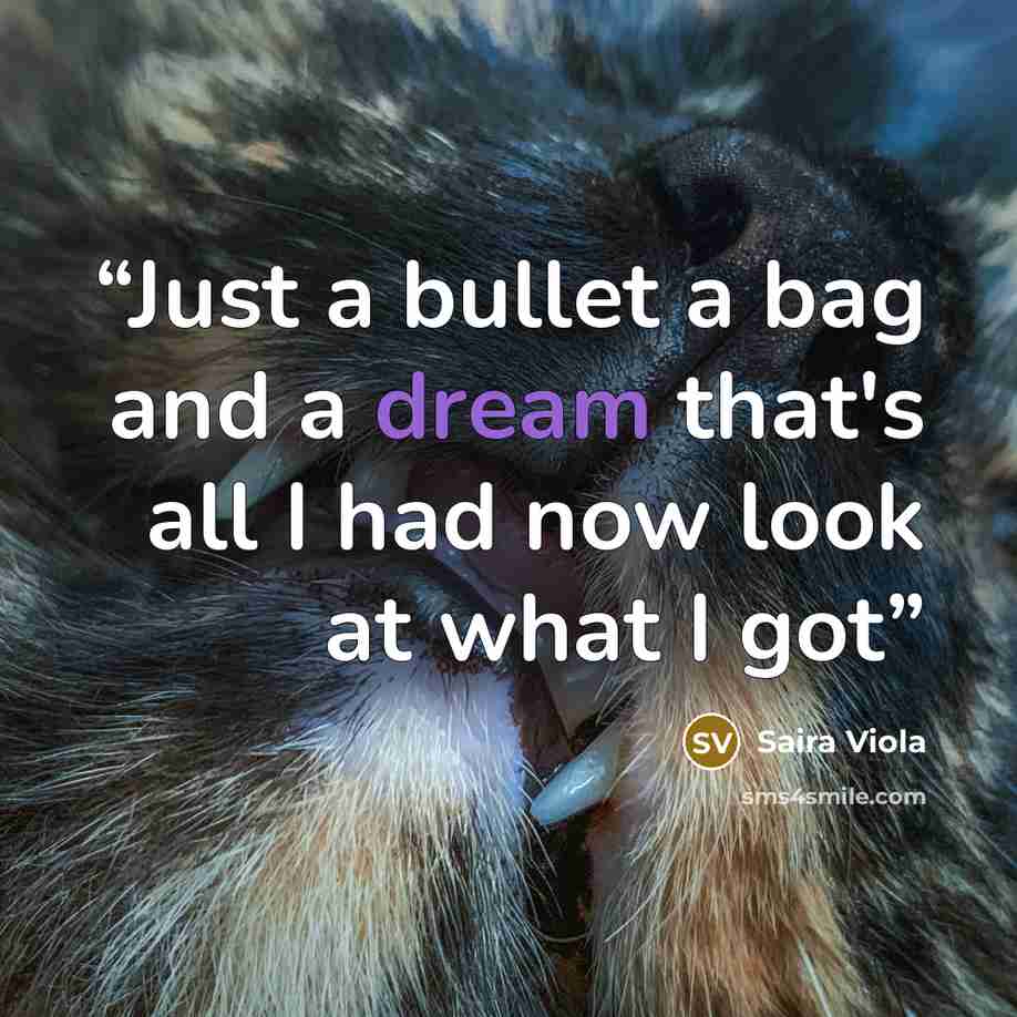“Just a bullet a bag and a dream that's all I had now look at what I got” quote by Saira Viola