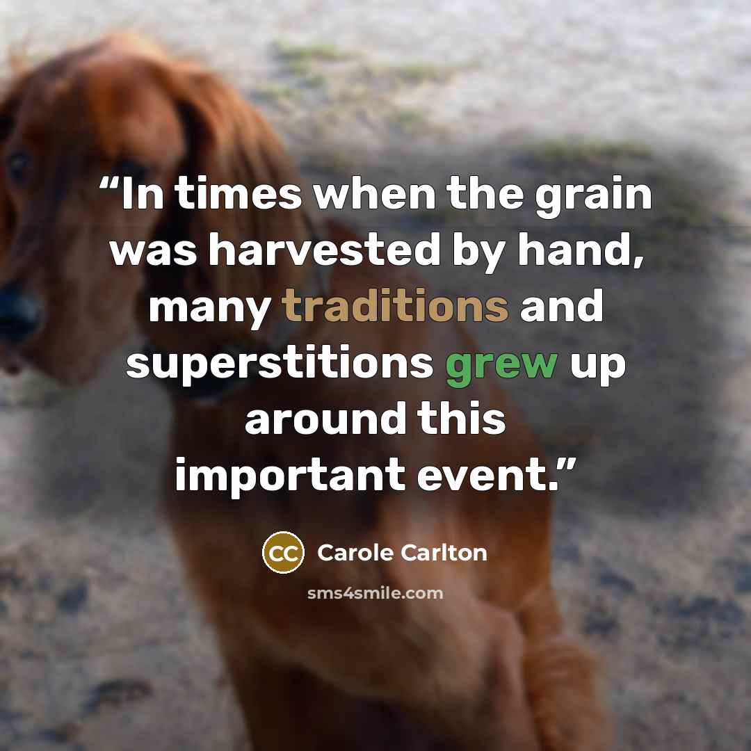 “In times when the grain was harvested by hand, many traditions and superstitions grew up around this important event.” quote by Carole Carlton