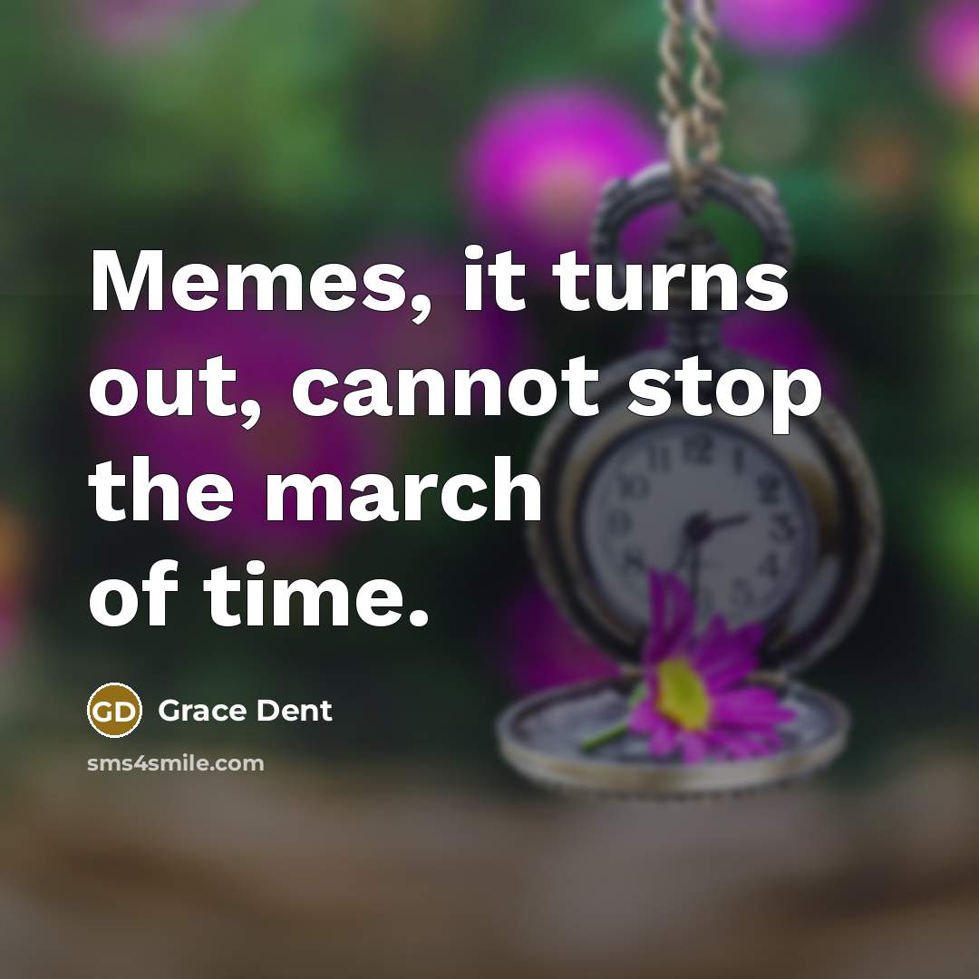 “Memes, it turns out, cannot stop the march of time.” quote by Grace Dent