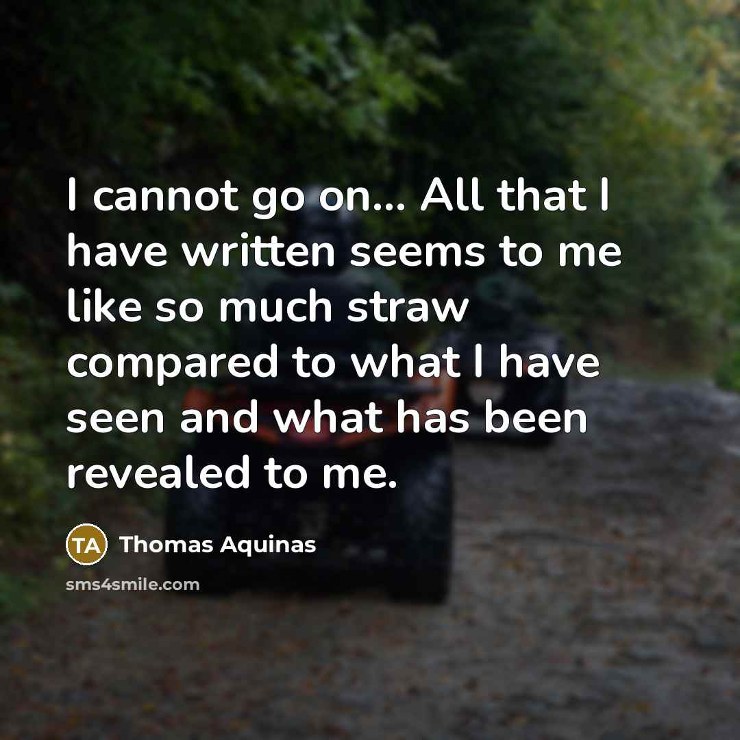 “I cannot go on… All that I have written seems to me like so much straw compared to what I have seen and what has been revealed to me.” quote by Thomas Aquinas