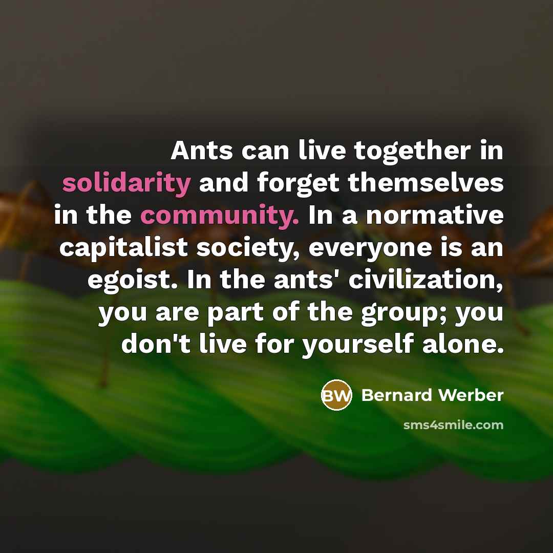 “Ants can live together in solidarity and forget themselves in the community. In a normative capitalist society, everyone is an egoist. In the ants' civilization, you are part of the group; you don't live for yourself alone.” quote by Bernard Werber