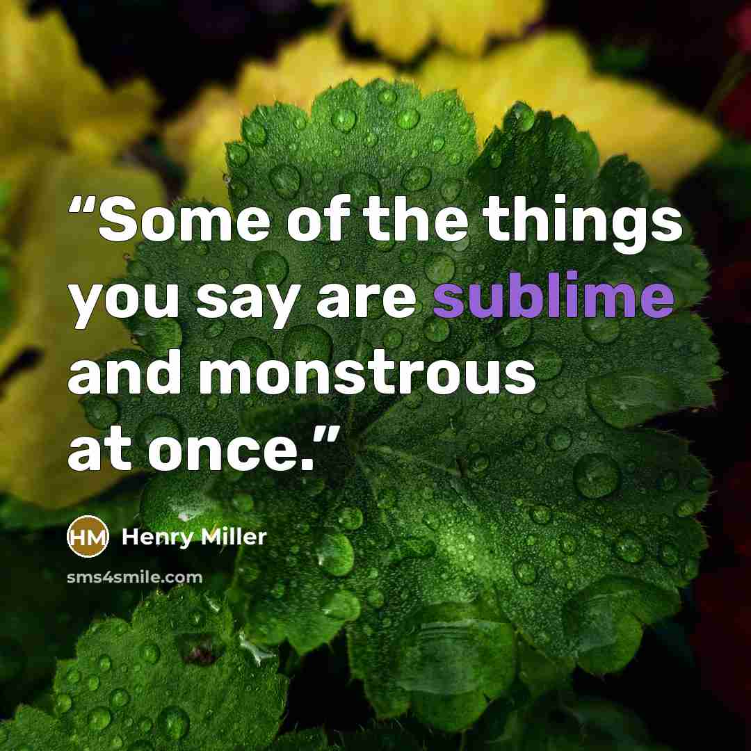 “Some of the things you say are sublime and monstrous at once.” quote by Henry Miller
