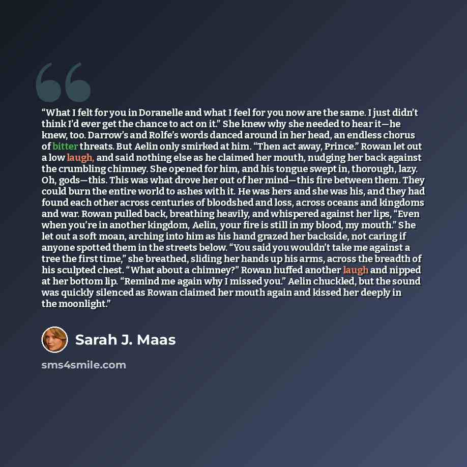 “What I felt for you in Doranelle and what I feel for you now are the same. I just didn’t think I’d ever get the chance to act on it.” She knew why she needed to hear it—he knew, too. Darrow’s and Rolfe’s words danced around in her head, an endless chorus of bitter threats. But Aelin only smirked…” quote by Sarah J. Maas