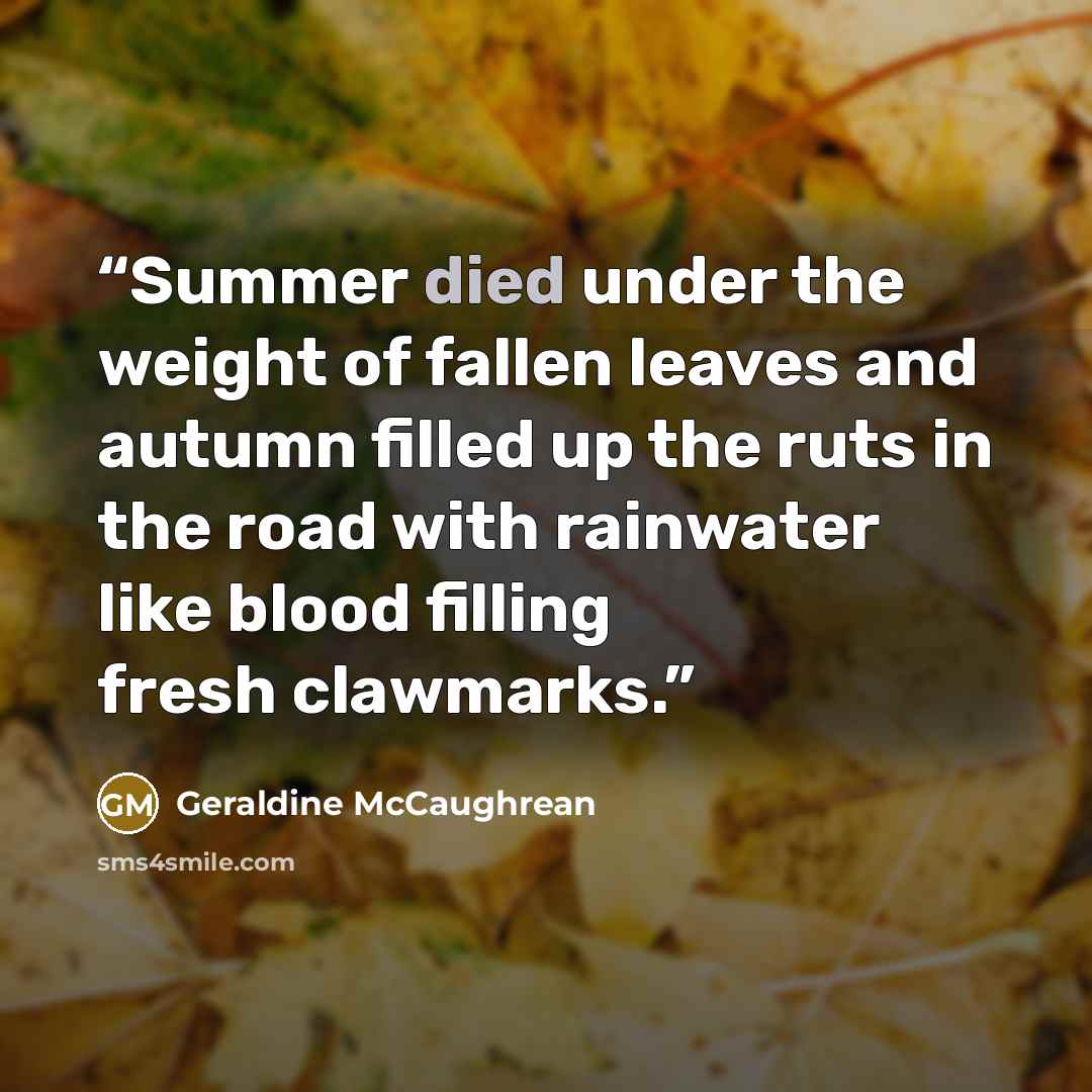 “Summer died under the weight of fallen leaves and autumn filled up the ruts in the road with rainwater like blood filling fresh clawmarks.” quote by Geraldine McCaughrean