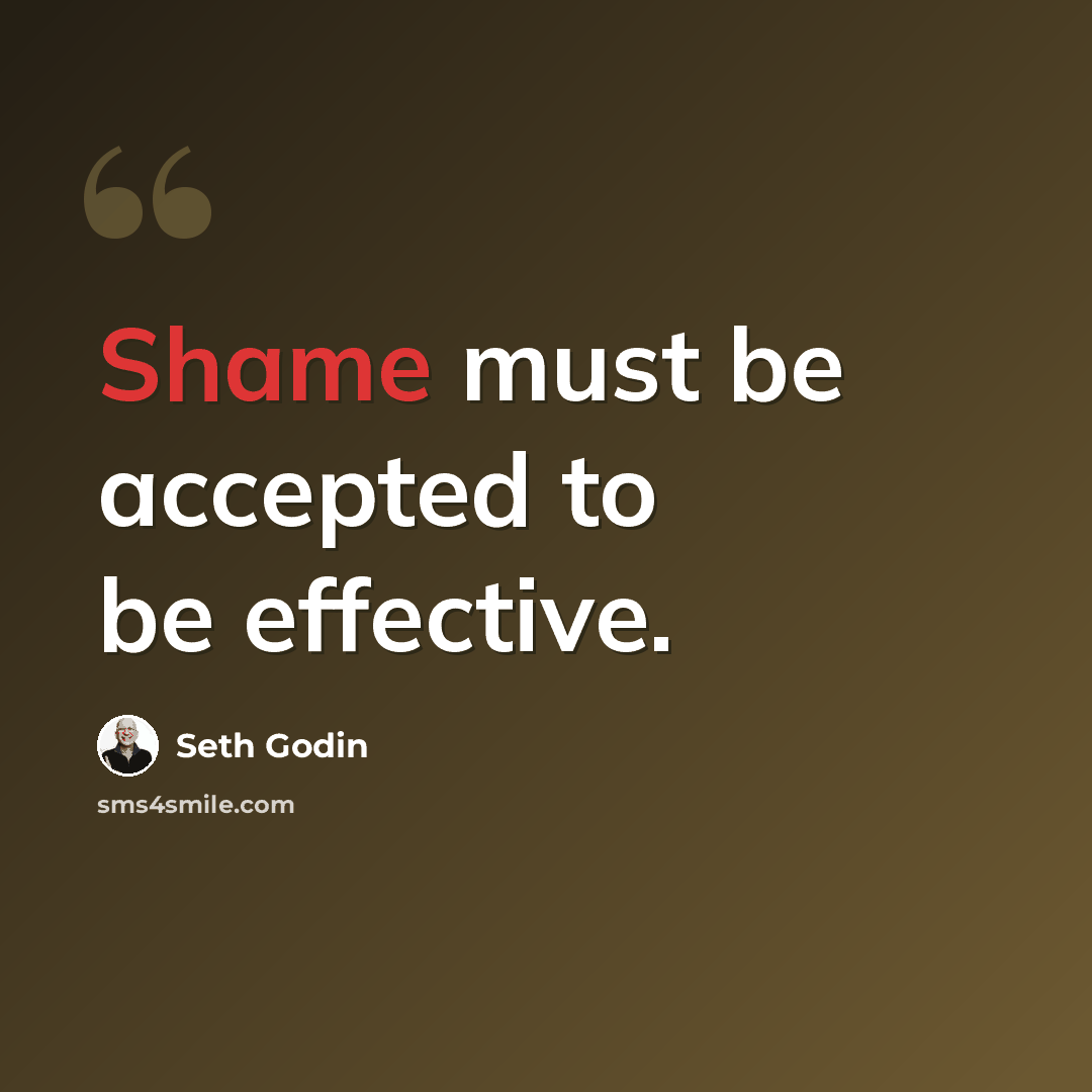 “Shame must be accepted to be effective.” quote by Seth Godin
