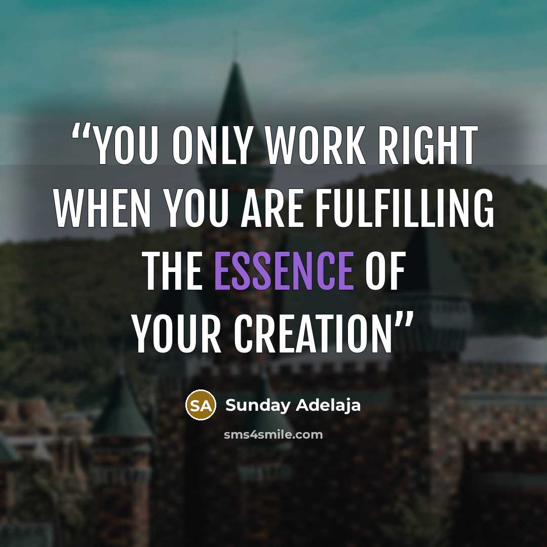 “You only work right when you are fulfilling the essence of your creation” quote by Sunday Adelaja