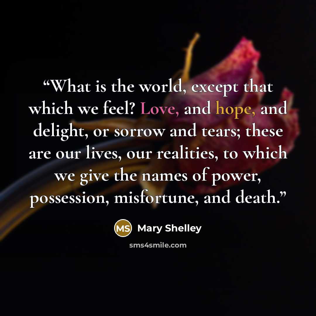 “What is the world, except that which we feel? Love, and hope, and delight, or sorrow and tears; these are our lives, our realities, to which we give the names of power, possession, misfortune, and death.” quote by Mary Shelley