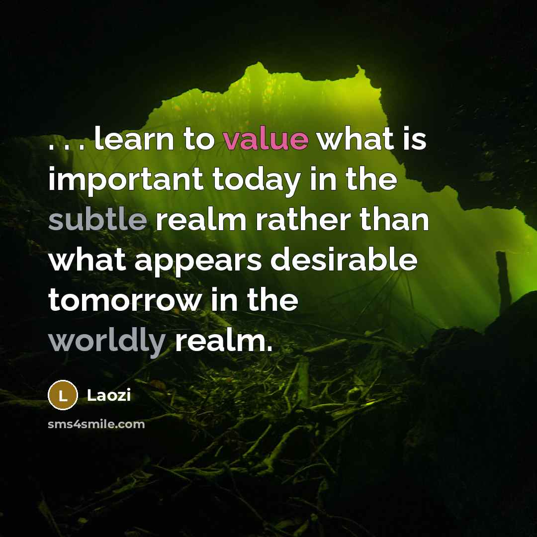 “. . . learn to value what is important today in the subtle realm rather than what appears desirable tomorrow in the worldly realm.” quote by Laozi