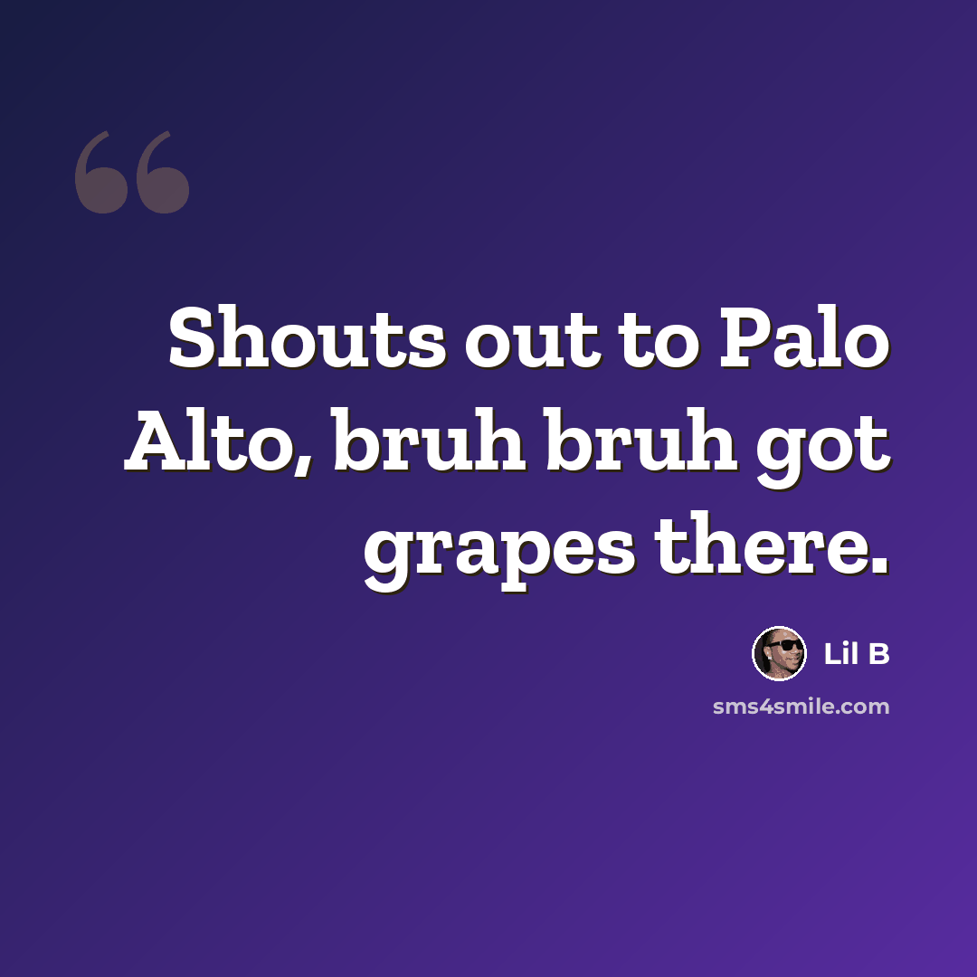 “Shouts out to Palo Alto, bruh bruh got grapes there.” quote by Lil B
