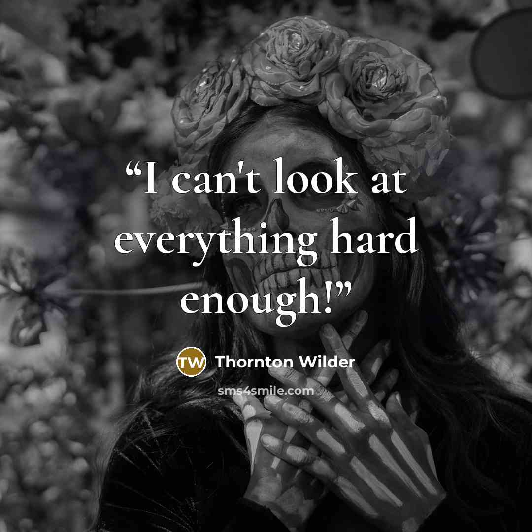 “I can't look at everything hard enough!” quote by Thornton Wilder