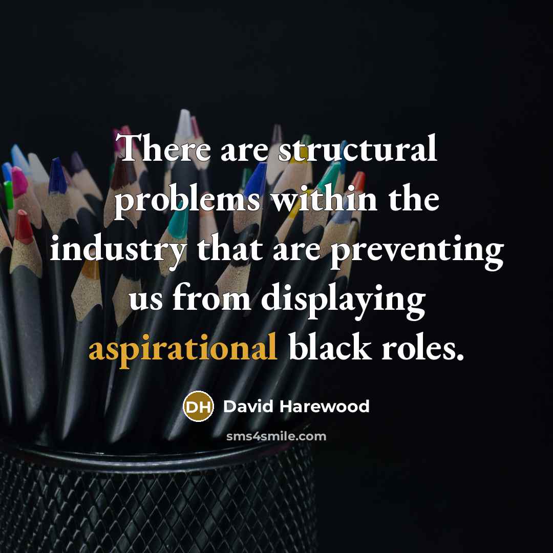 “There are structural problems within the industry that are preventing us from displaying aspirational black roles.” quote by David Harewood