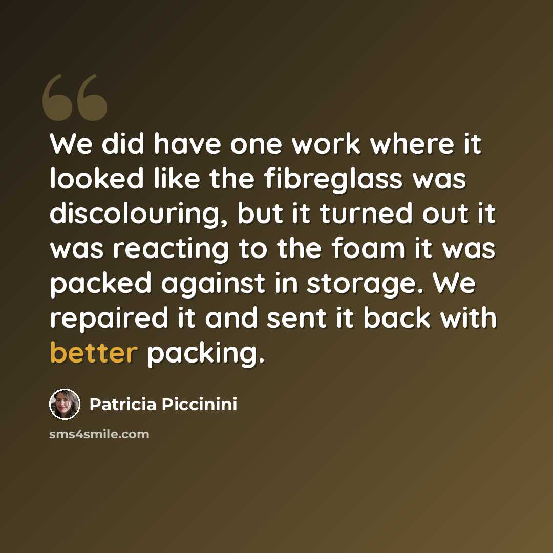 “We did have one work where it looked like the fibreglass was discolouring, but it turned out it was reacting to the foam it was packed against in storage. We repaired it and sent it back with better packing.” quote by Patricia Piccinini