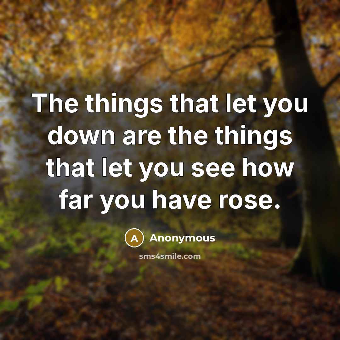 “The things that let you down are the things that let you see how far you have rose.” quote by Anonymous