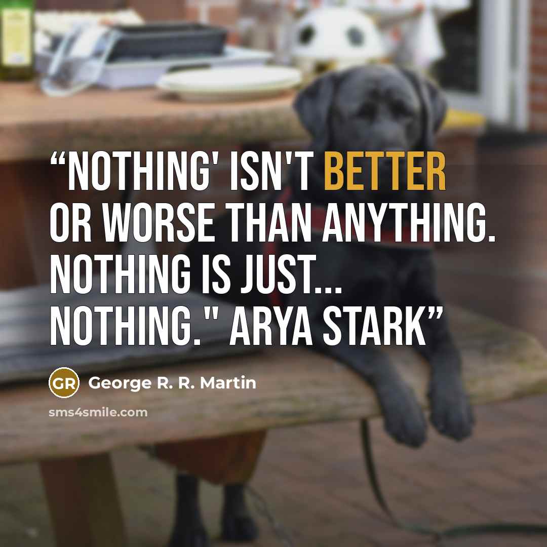 “Nothing' isn't better or worse than anything. Nothing is just... nothing." Arya Stark” quote by George R. R. Martin