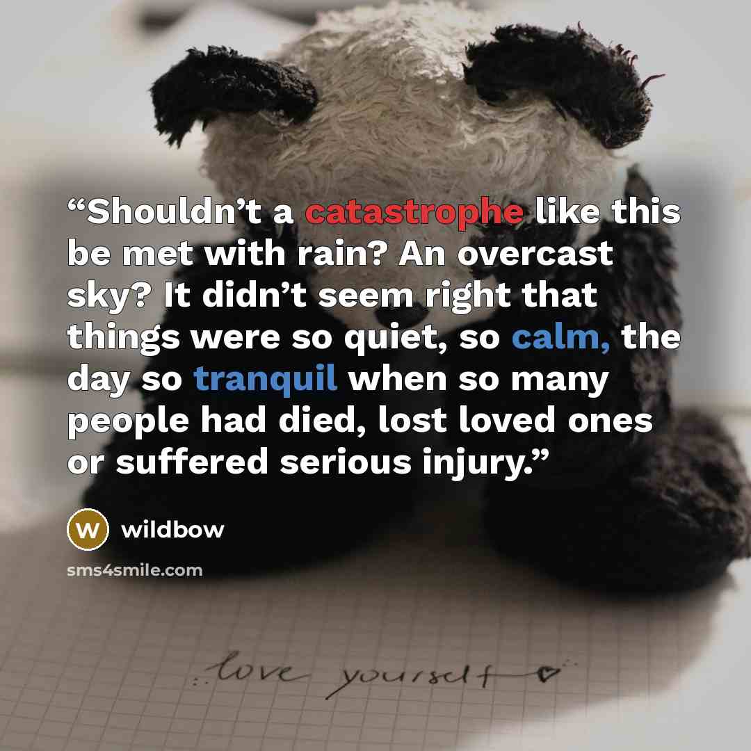 “Shouldn’t a catastrophe like this be met with rain? An overcast sky? It didn’t seem right that things were so quiet, so calm, the day so tranquil when so many people had died, lost loved ones or suffered serious injury.” quote by wildbow