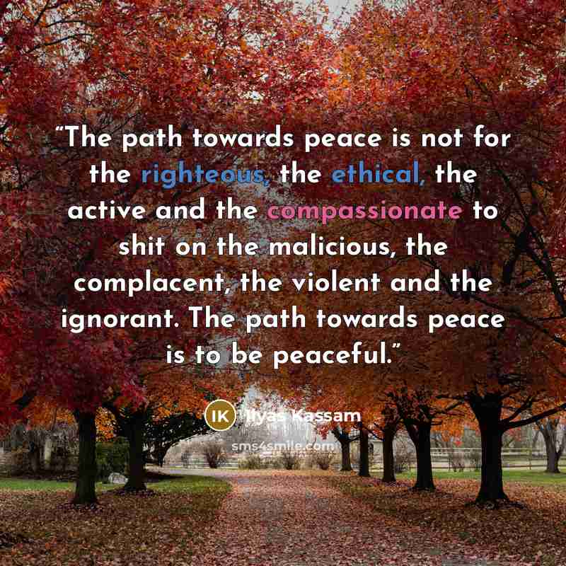 “The path towards peace is not for the righteous, the ethical, the active and the compassionate to shit on the malicious, the complacent, the violent and the ignorant. The path towards peace is to be peaceful.” quote by Ilyas Kassam