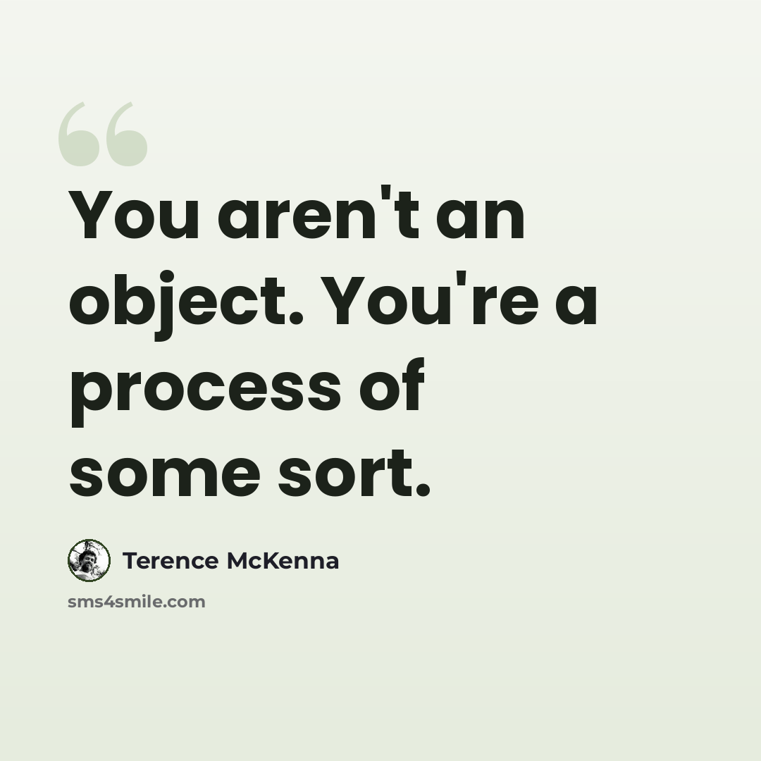 “You aren't an object. You're a process of some sort.” quote by Terence McKenna