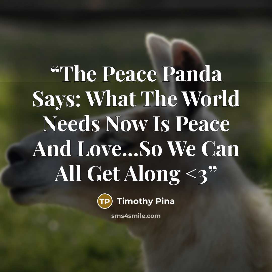 ““The Peace Panda Says: What The World Needs Now Is Peace And Love...So We Can All Get Along” quote by Timothy Pina