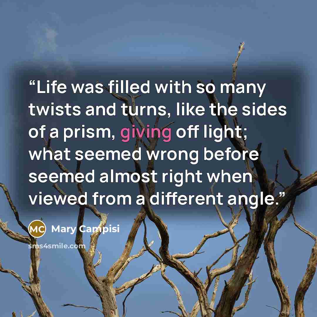 “Life was filled with so many twists and turns, like the sides of a prism, giving off light; what seemed wrong before seemed almost right when viewed from a different angle.” quote by Mary Campisi