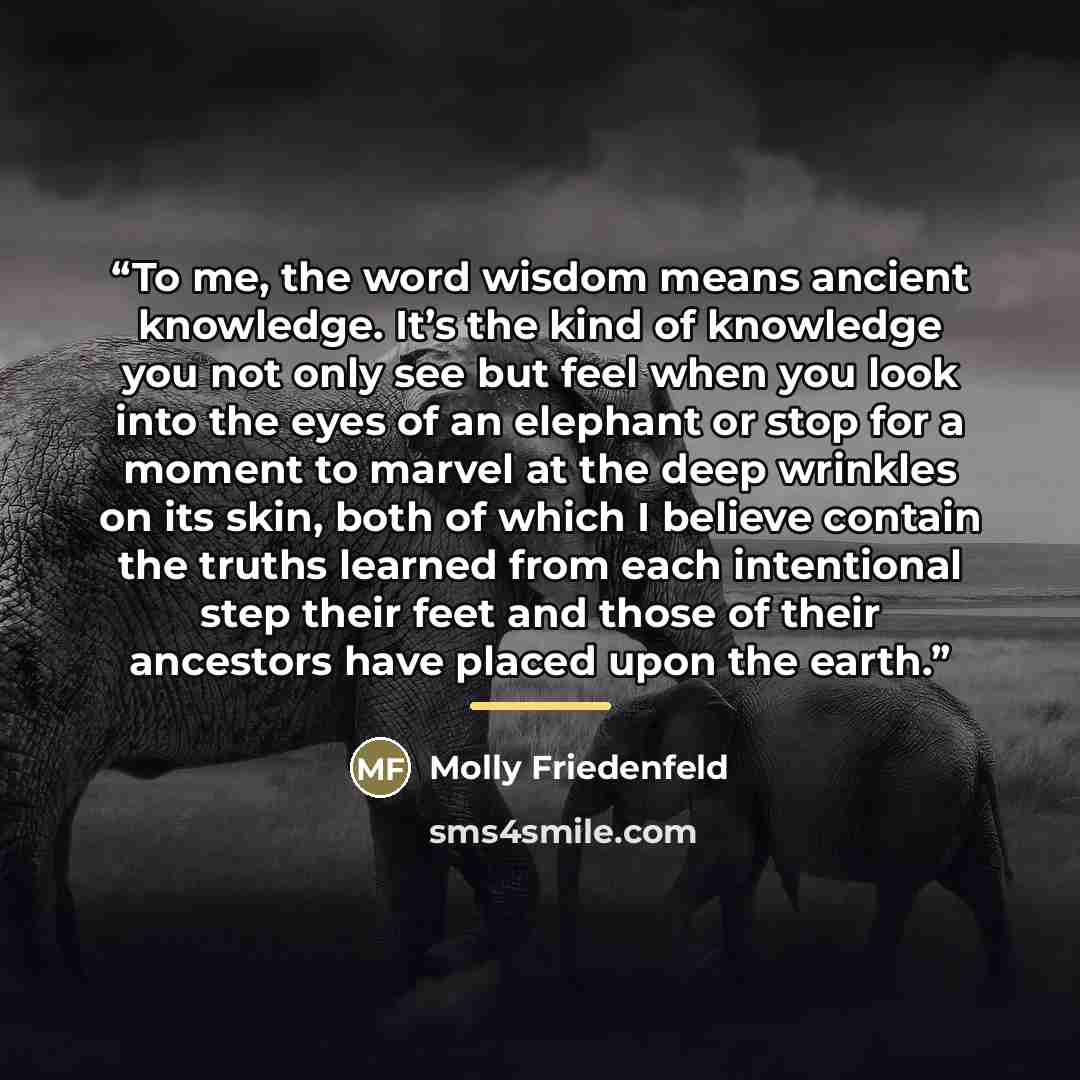 “To me, the word wisdom means ancient knowledge. It’s the kind of knowledge you not only see but feel when you look into the eyes of an elephant or stop for a moment to marvel at the deep wrinkles on its skin, both of which I believe contain the truths learned from each intentional step their feet…” quote by Molly Friedenfeld
