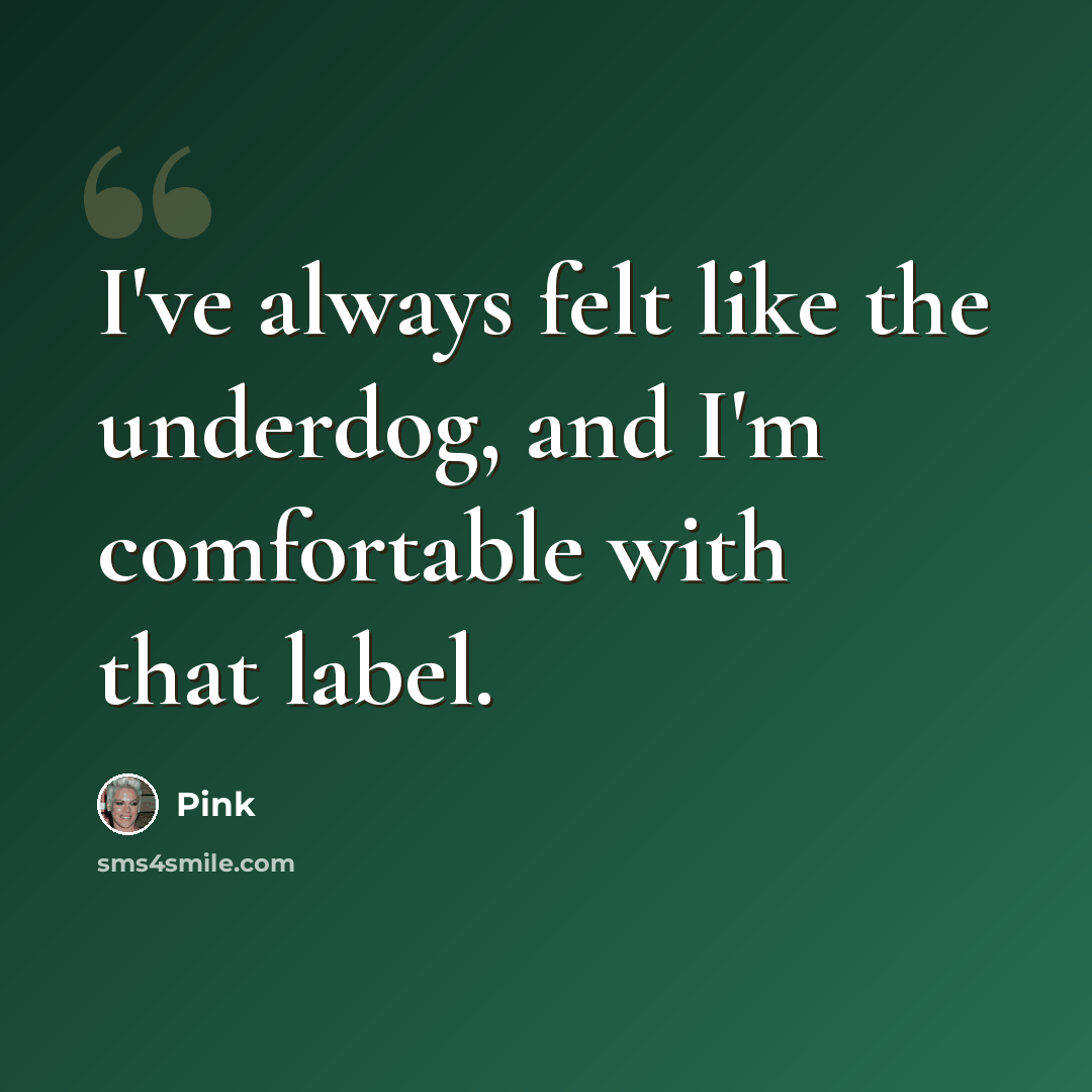 “I've always felt like the underdog, and I'm comfortable with that label.” quote by Pink