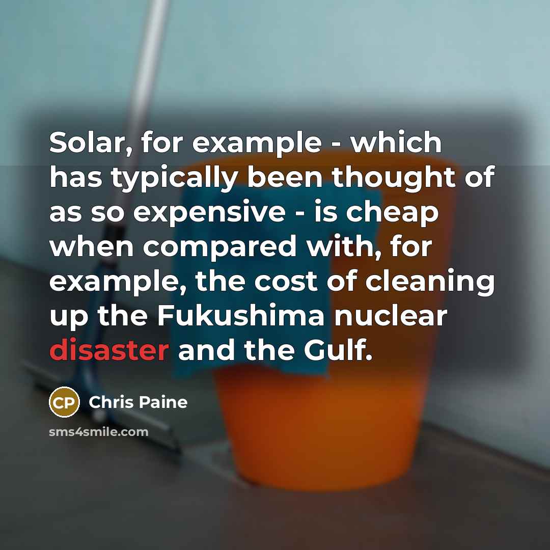 “Solar, for example - which has typically been thought of as so expensive - is cheap when compared with, for example, the cost of cleaning up the Fukushima nuclear disaster and the Gulf.” quote by Chris Paine