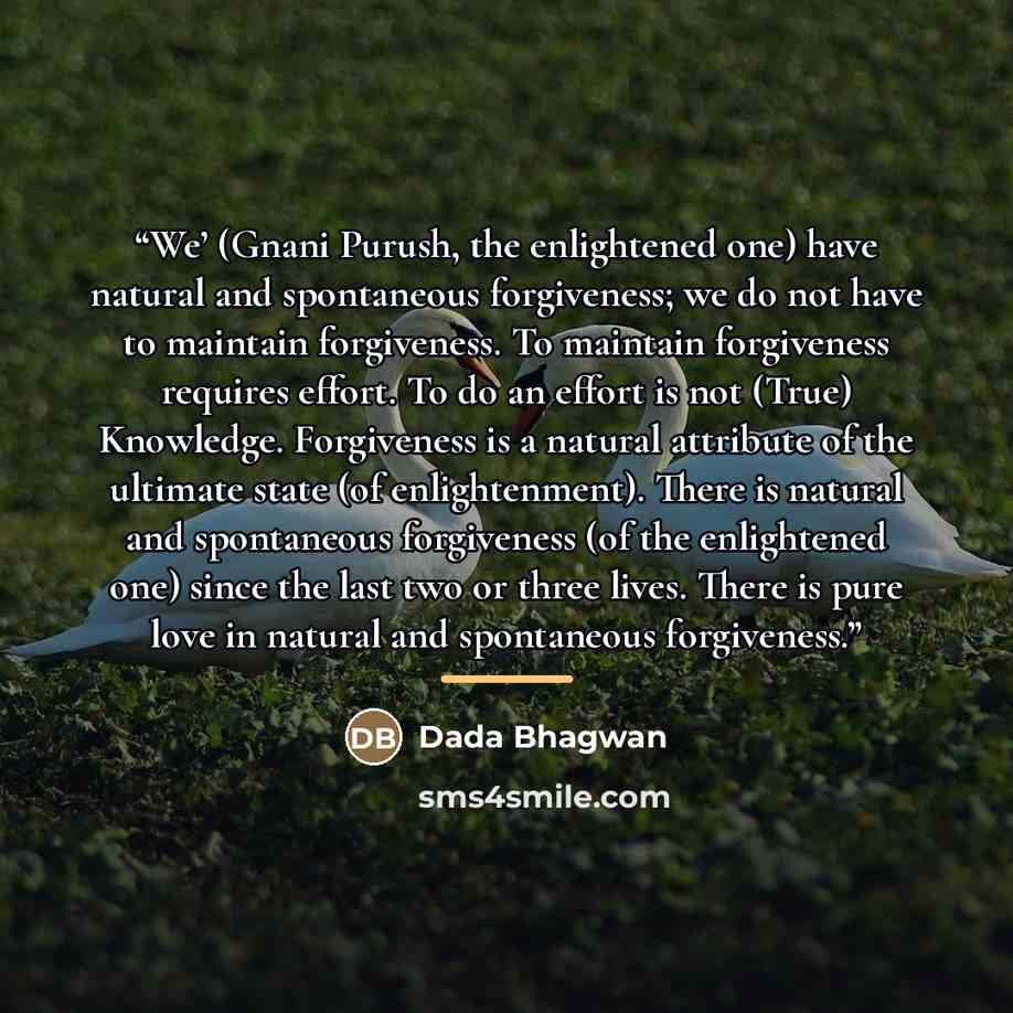 “We’ (Gnani Purush, the enlightened one) have natural and spontaneous forgiveness; we do not have to maintain forgiveness. To maintain forgiveness requires effort. To do an effort is not (True) Knowledge. Forgiveness is a natural attribute of the ultimate state (of enlightenment). There is natural…” quote by Dada Bhagwan