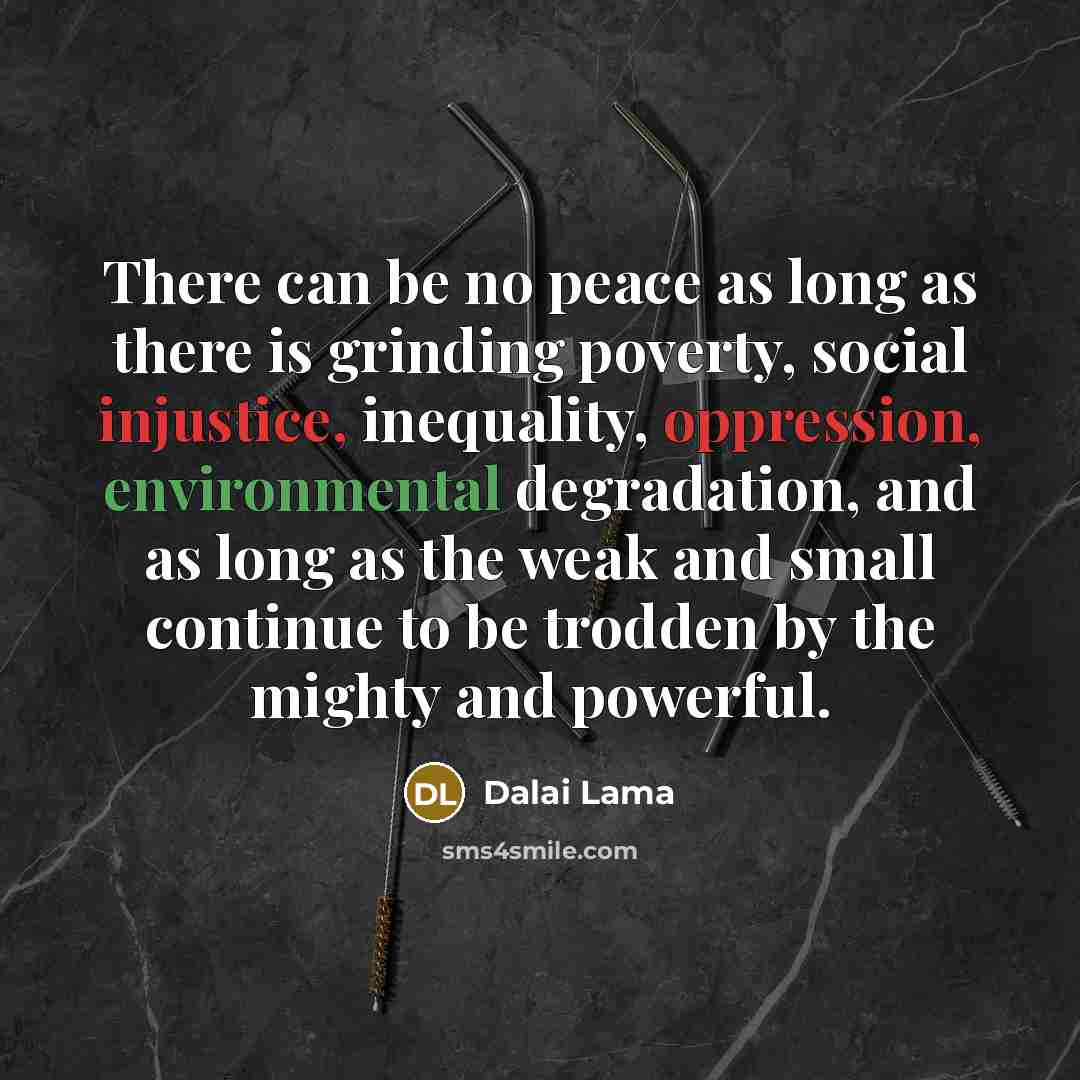 “There can be no peace as long as there is grinding poverty, social injustice, inequality, oppression, environmental degradation, and as long as the weak and small continue to be trodden by the mighty and powerful.” quote by Dalai Lama
