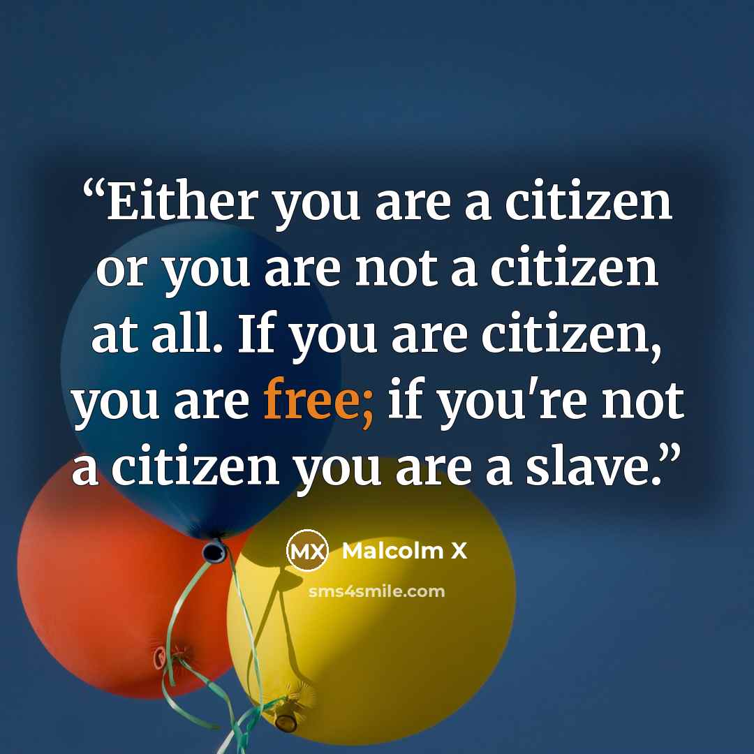 “Either you are a citizen or you are not a citizen at all. If you are citizen, you are free; if you're not a citizen you are a slave.” quote by Malcolm X