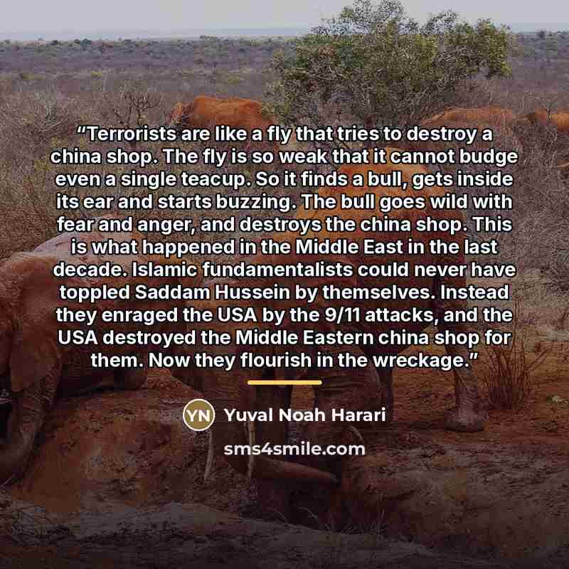 “Terrorists are like a fly that tries to destroy a china shop. The fly is so weak that it cannot budge even a single teacup. So it finds a bull, gets inside its ear and starts buzzing. The bull goes wild with fear and anger, and destroys the china shop. This is what happened in the Middle East in…” quote by Yuval Noah Harari