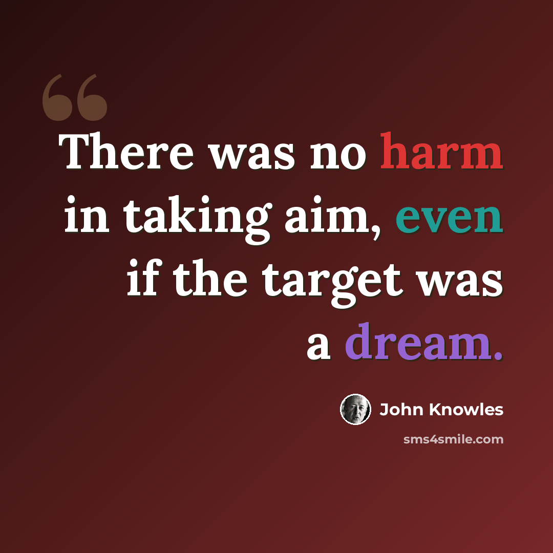 “There was no harm in taking aim, even if the target was a dream.” quote by John Knowles