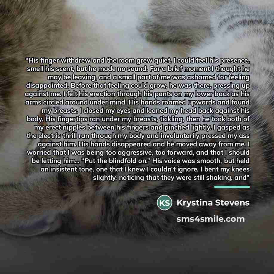 “His finger withdrew and the room grew quiet. I could feel his presence, smell his scent, but he made no sound. For a brief moment I thought he may be leaving, and a small part of me was ashamed for feeling disappointed. Before that feeling could grow, he was there, pressing up against me. I felt…” quote by Krystina Stevens