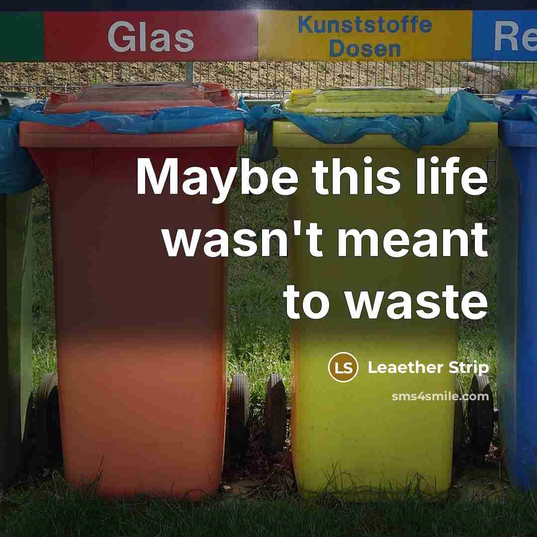 “Maybe this life wasn't meant to waste” quote by Leaether Strip