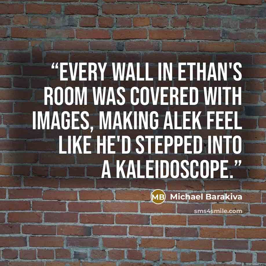 “Every wall in Ethan's room was covered with images, making Alek feel like he'd stepped into a kaleidoscope.” quote by Michael Barakiva