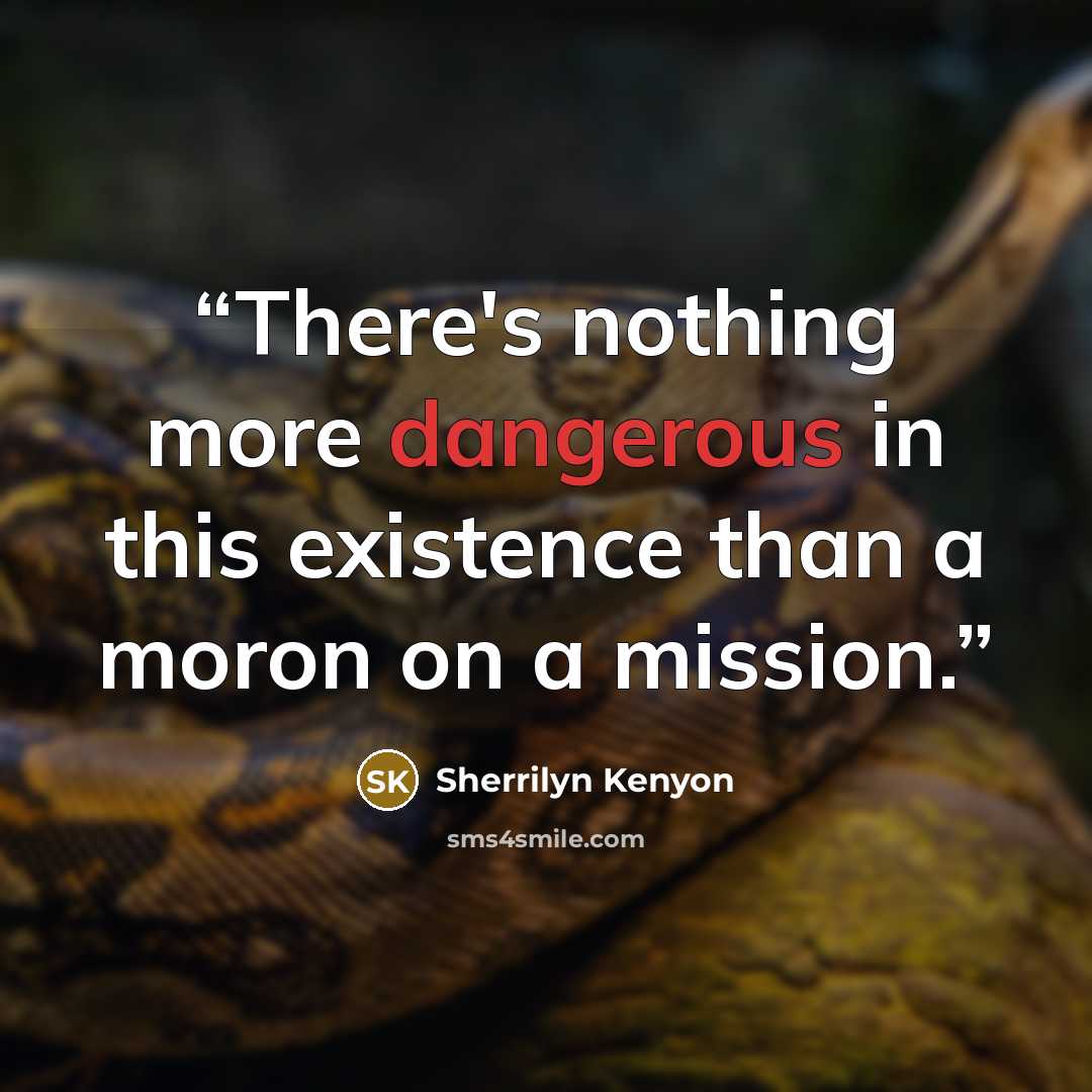 “There's nothing more dangerous in this existence than a moron on a mission.” quote by Sherrilyn Kenyon