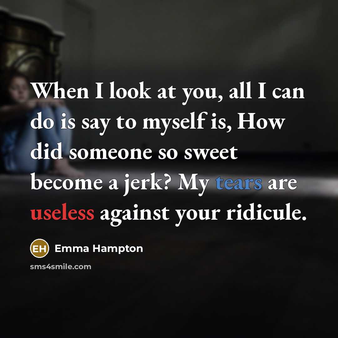 “When I look at you, all I can do is say to myself is, How did someone so sweet become a jerk? My tears are useless against your ridicule.” quote by Emma Hampton