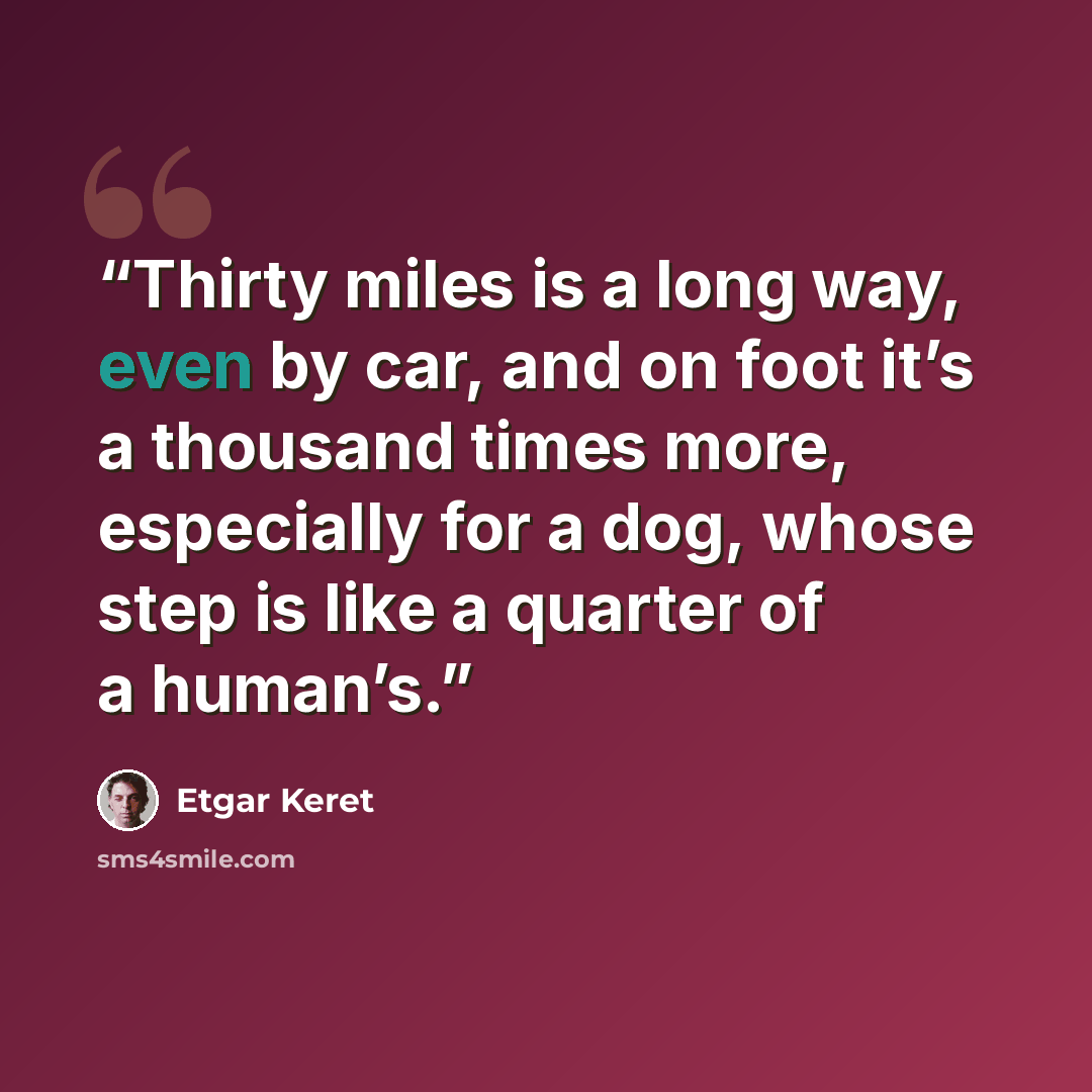 “Thirty miles is a long way, even by car, and on foot it’s a thousand times more, especially for a dog, whose step is like a quarter of a human’s.” quote by Etgar Keret