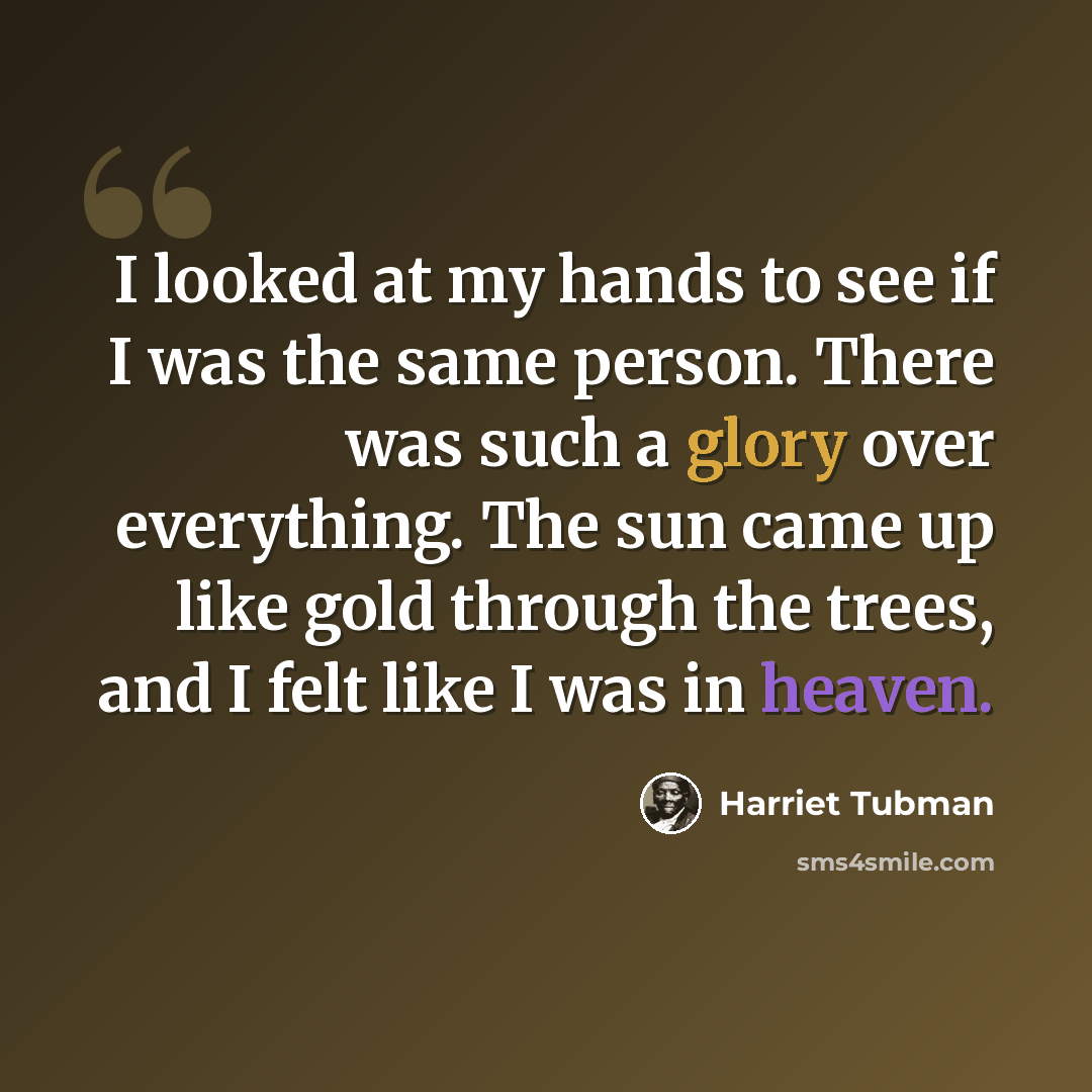 “I looked at my hands to see if I was the same person. There was such a glory over everything. The sun came up like gold through the trees, and I felt like I was in heaven.” quote by Harriet Tubman