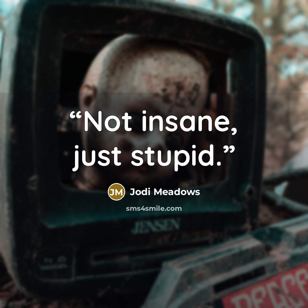“Not insane, just stupid.” quote by Jodi Meadows