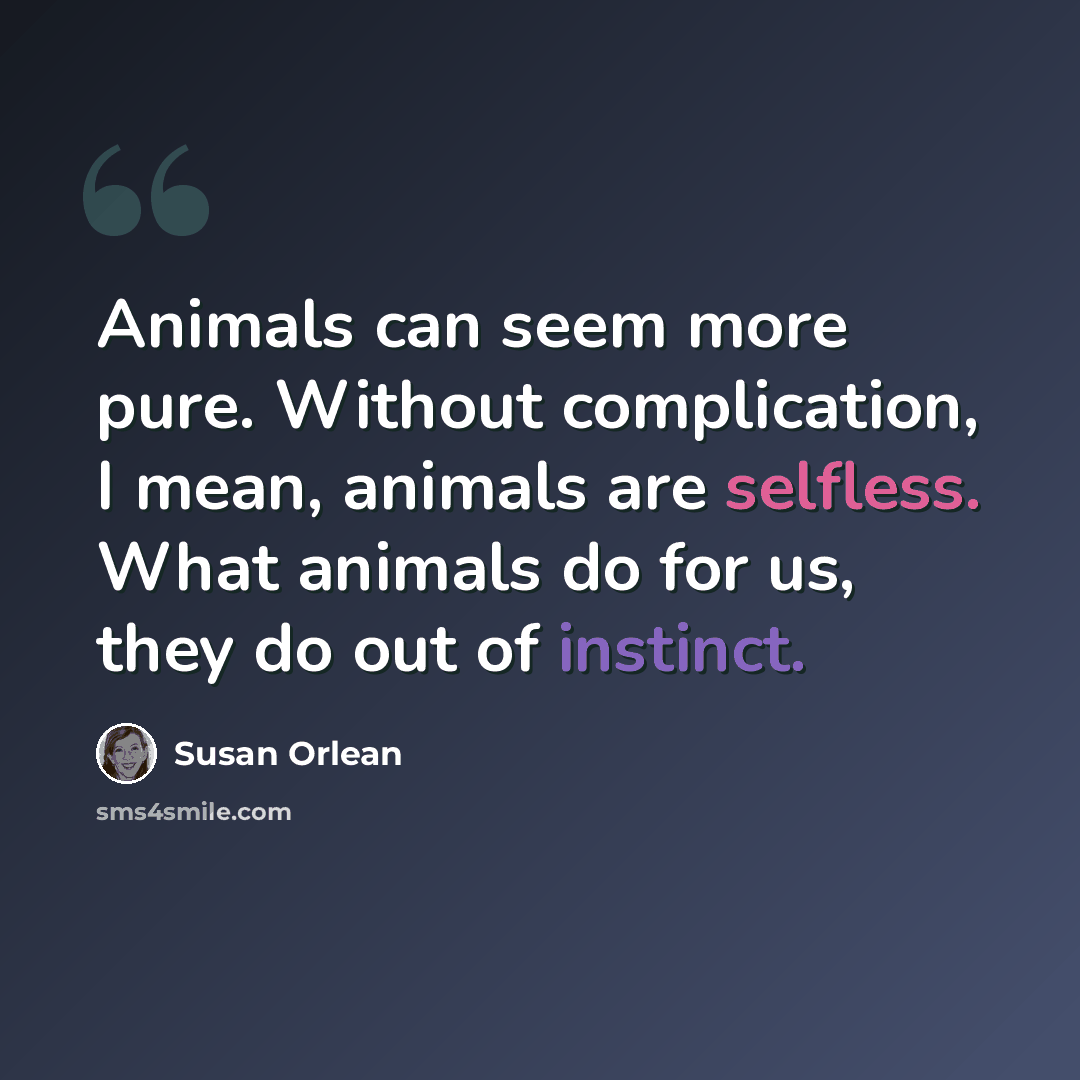 “Animals can seem more pure. Without complication, I mean, animals are selfless. What animals do for us, they do out of instinct.” quote by Susan Orlean