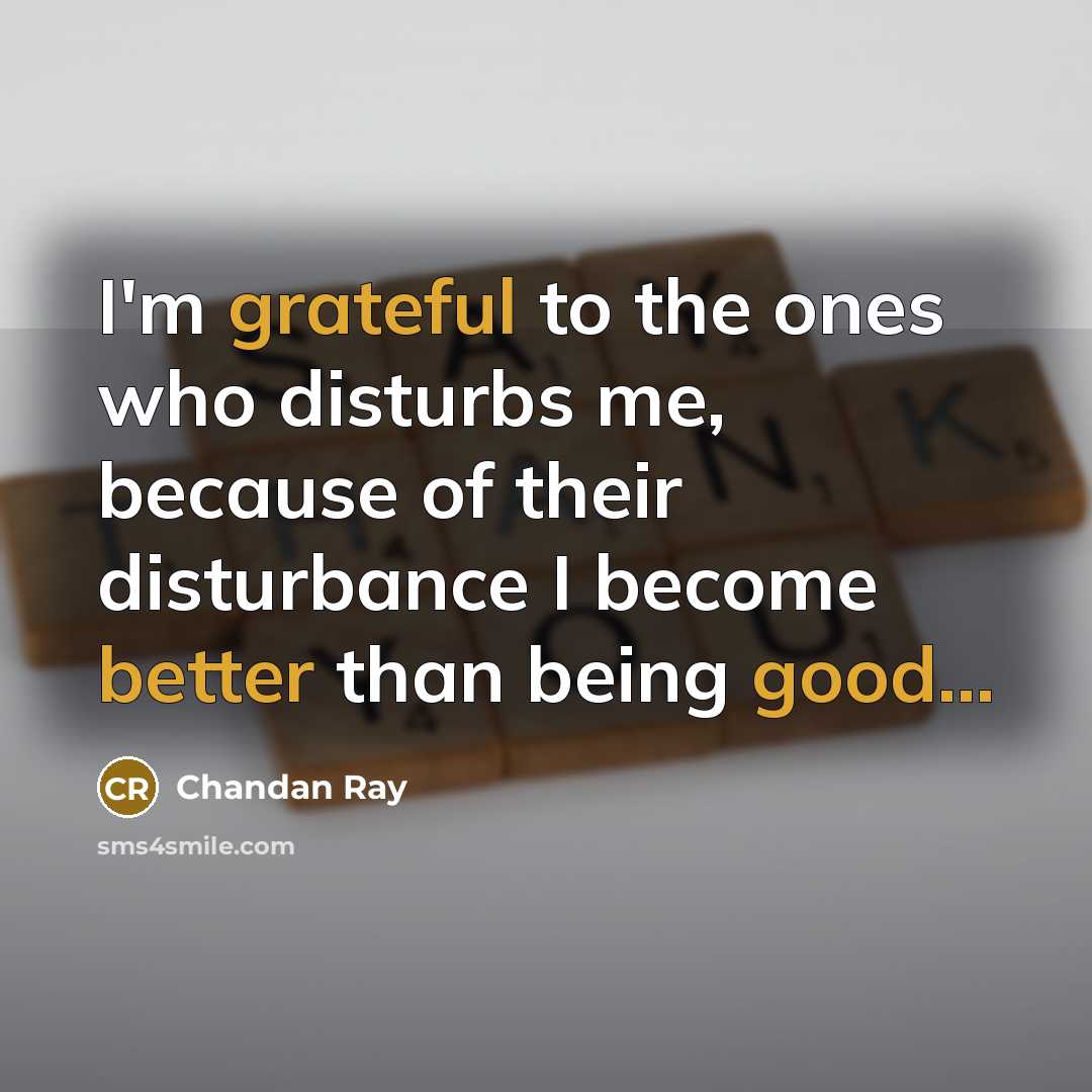“I'm grateful to the ones who disturbs me, because of their disturbance I become better than being good...” quote by Chandan Ray