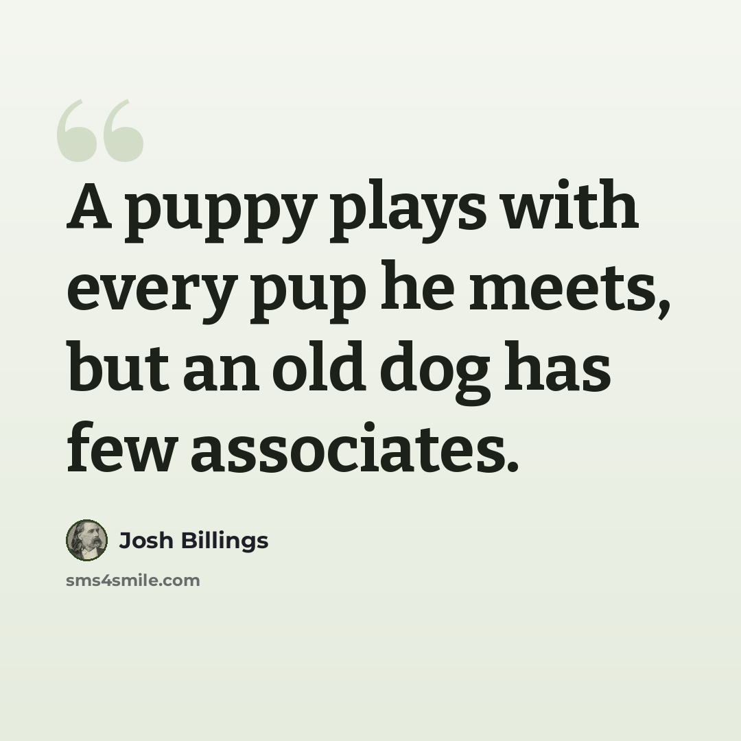 “A puppy plays with every pup he meets, but an old dog has few associates.” quote by Josh Billings